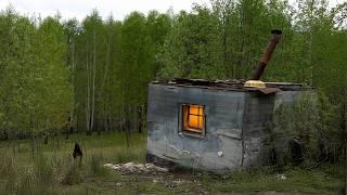 Restoring an Old Abandoned Trailer into a Free Forest Shelter. ASMR. FROM START TO FINISH.