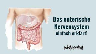 Definition des enterischen Nervensystems einfach erklärt! Aufbau | Funktion | Magen | Vegetatives NS