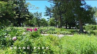 Buzzing around Crane Park - Kalamazoo  2024 in 4K  with the DJI Avata 2 and Air 3