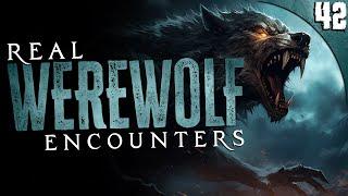 42 WEREWOLF & DOGMAN Encounters (COMPILATION)