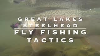 Great Lake Steelhead Fly Fishing Tips