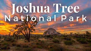 The 12 BEST Things To Do In Joshua Tree National Park