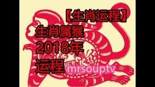 【生肖运程】生肖猴2018年运程！