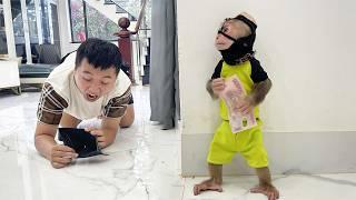 Hilarious! Cubis Monkey Pretends to Be a Thief to Get Dad's Money!