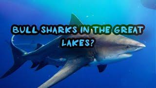 How Bull Sharks Possibly Got into the Great Lakes| Creature