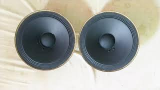 Special 10" Speaker Repair High Quality Sound Produce