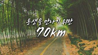 [4K] 동생 만나러 70km를 달려갔습니다 가는 길에 사고 목격까지.. (ft. 헬멧이 이렇게 중요합니다!) #안양천 #자전거라이딩 #자전거여행 #riding #roadbik