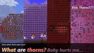 The Four Thorns in Terraria ─ Unplaceable, Unacknowledged, Unlogical...