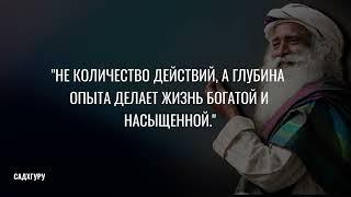 Уроки жизни от 100 самых известных людей в истории. Часть 1