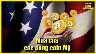 Thị trường giảm mạnh trở lại, chu kỳ của các đồng coin Mỹ - XRP, LINK và ADA