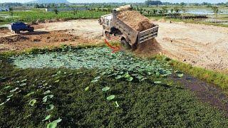 Incredible landfill PROJECT holder! 5-T dump trucks & dozer are great landfill project holder