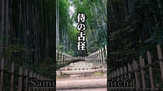 【侍の古径】ひよどり坂｜千葉県佐倉市 江戸時代にタイムスリップ1度は行ってみたい江戸時代から変わらない素敵な竹林 #ひよどり坂 #侍 #samurai #japan #佐倉市 #travel #竹