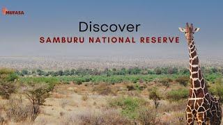 SAMBURU NATIONAL RESERVE |  Rare Wildlife and Untouched Beauty