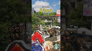 6월 후쿠오카 여행 - 다자이후 편  #후쿠오카여행 #다자이후 #다자이후텐만구