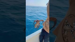 #fishing #fish #سمك #sharklife #اكسبلور #صيد #الصيد #بحر