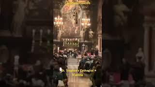 Christmas Concert | St. Stephan’s Cathedral | Vienna | Short P1