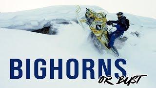 SLED THE BIGHORNS!