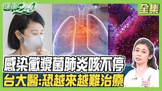 感染黴漿菌肺炎咳不停 台大醫：恐越來越難治療！一人染病全家中標 會走路的肺炎症狀？ 健康2.0 20231126【完整版】 鄭凱云 蕭世欣 吳其穎 陳潮宗 梁惠雯 彥寬 @tvbshealth20