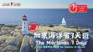 海洋省7天遊The Maritimes 7-Day Tour／鳥島8天遊️Bonaventure Island 8-Day Tour