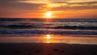 Spending Time Together during Early Morning Walks at the Beach