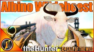 Black Powder Weapons ONLY Hunt! | ALBINO GOLD WILDEBEEST! | Call of the Wild