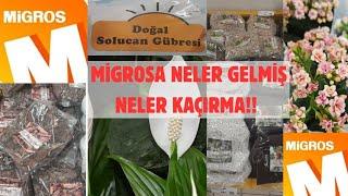 MİGROS 'A GELEN MUHTEŞEM ÇİÇEK VE TOPRAK ÇEŞİTLERİNİ KAÇIRMAYIN #migros #migrosçiçek #indirim