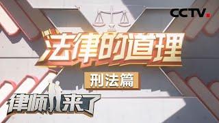 《律师来了》 法律的道理 刑法篇 20200516 | CCTV社会与法