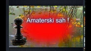 Amaterski sah DEJAN MATIC # 1197