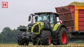 Maishäckseln mit Krone Big X 780, Fendt und Claas | Moormann-Schmitz | Mais hakselen