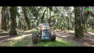 Industry Talk: Is Palm Oil Industry in the right direction of progress?