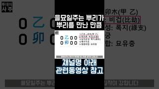 을묘일주 특 #사주 #팔자 #사주팔자 #일주론 #을묘일주 #2024년 #갑진년 #십이운성 #록지