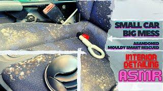 How I Cleaned Mold In a Disgusting Abandoned Smart - Interior Car Cleaning Disaster Detail | ASMR