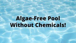 How to Remove Algae from Your Pool Without Chemicals