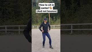 How to sit in canter without bouncing and follow the horse's movement! (dressage seat)