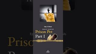 Prison Pet Prt 1 #opeaghost #parnormal #podcast #shorts #pets #prison #hauntedstories #scarystories