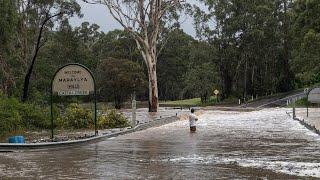 SES responds to 650 flood rescues as ‘potentially life-threatening’ event continues