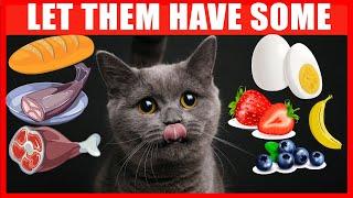 Human Foods that Are Actually Good for Cats