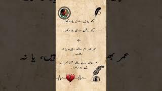 Mirza Ghalib Poetry #poetry #poems #sadpoetry #poetrylovers #youtubeshorts