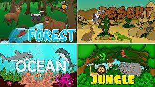 Learn Spelling for Kids - Learning to Spell Animals - Wild Animals for Children to Learn in English