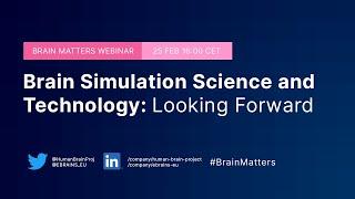 Brain Matters #4 - Brain Simulation Science and Technology: Looking Forward