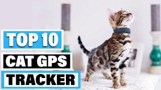 Best Cat GPS Tracker In 2024 - Top 10 Cat GPS Trackers Review