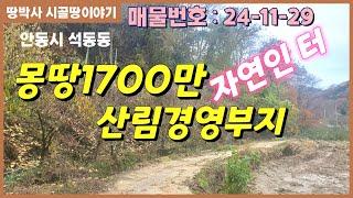 (24. 11. 29) 싼 땅!!!~도심지 인근 아담한 임야. 7,537㎡(구2,280평) 1,700만원