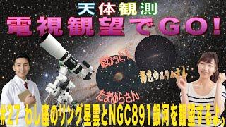 【電視観望でGO！】#27 わし座のリング星雲とNGC891銀河を観望するよ。