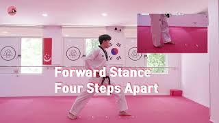 Basic Essential Taekwondo Stances