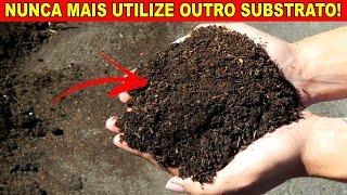 Como Fazer Substrato de Forma Simples e Fácil - Para Iniciantes