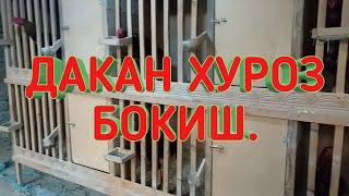 ДАКАН ХУРОЗ БОКИШ.