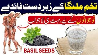 Tukh Malanga Benefits (تخم ملنگا) for Your Health || Basil Seed Benefits || Islam Advisor