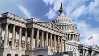 Washington DC SEO Agency