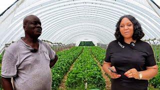 WHY HE LEFT USA AFTER 18 YEARS TO REBUILD HIS BUSINESS IN NIGERIA AND BUILD A FARM