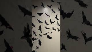 My Bats move on to Christmas